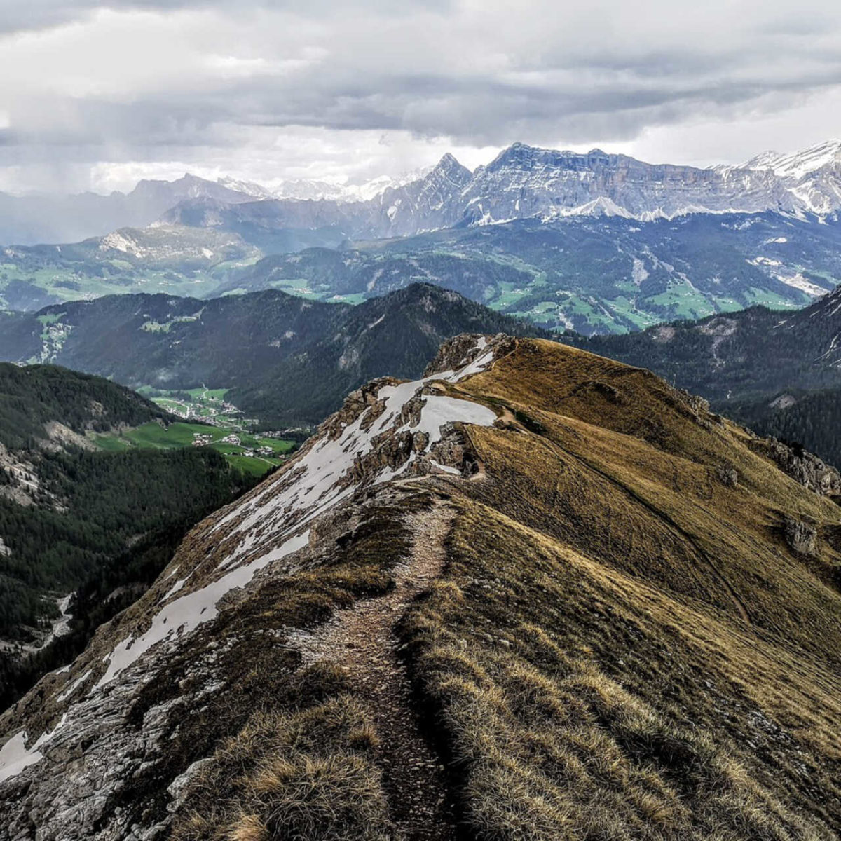 animal-labrador-puppy-8449843-(1)_optimized